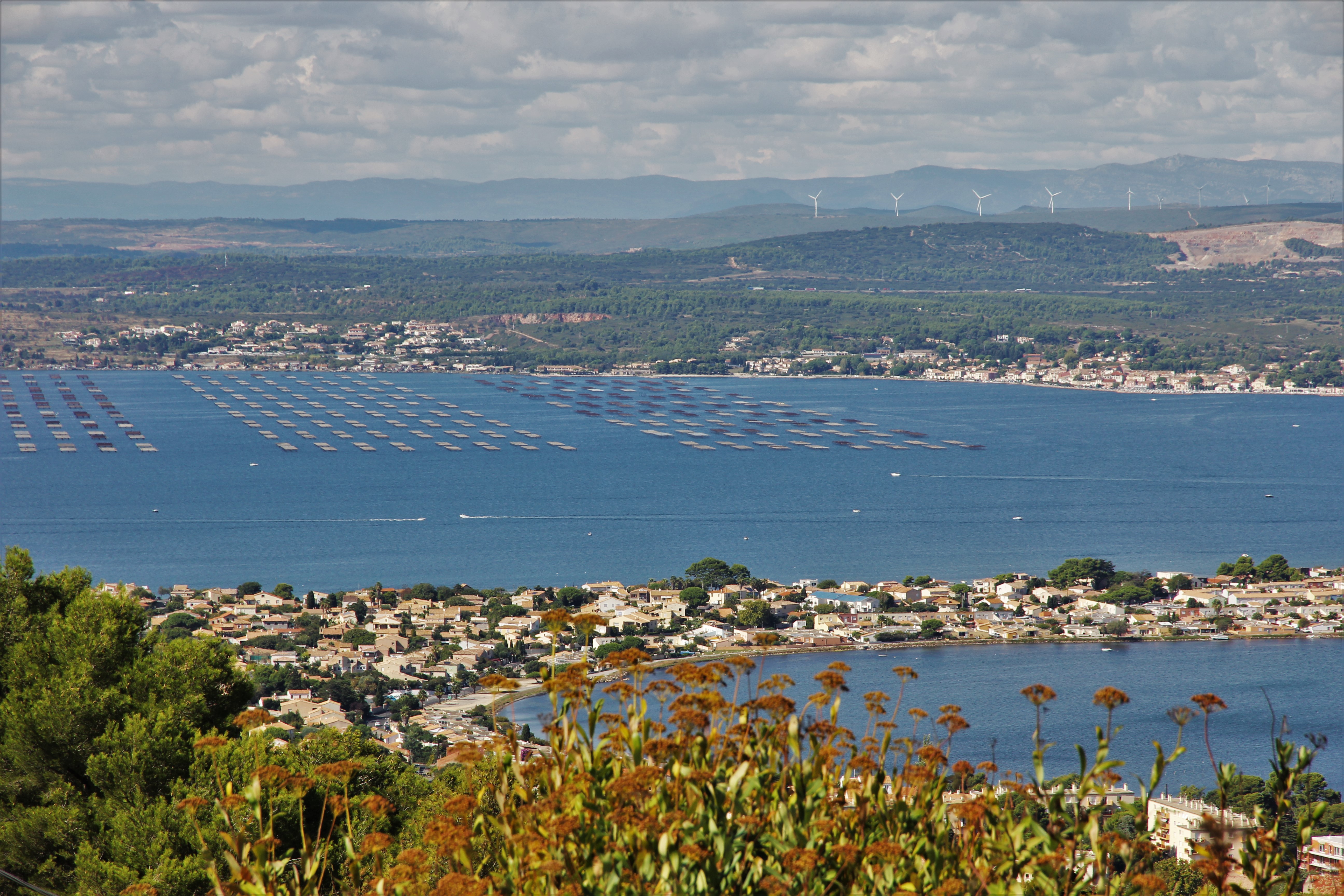 Vue sur l'étang de Thau depuis le Mont Saint Clair, Sète